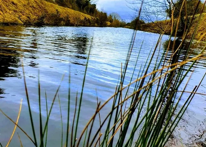 Riverside Hébergement de vacances