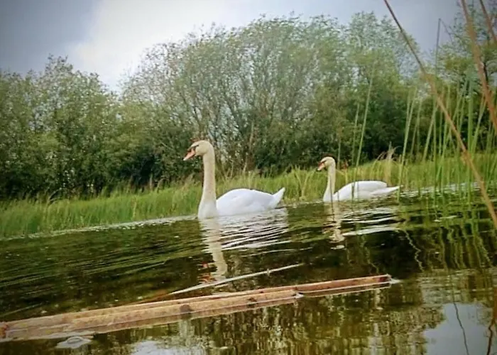 Riverside Dom wakacyjny Kildare